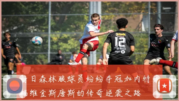 昔日森林狼球员纷纷夺冠加内特乐福维金斯唐斯的传奇逆袭之路